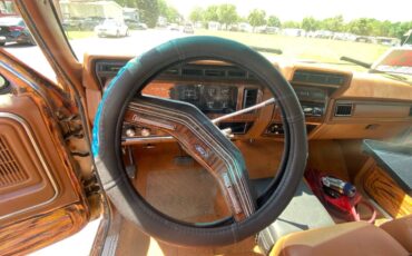 Ford-F-250-1982-custom-6