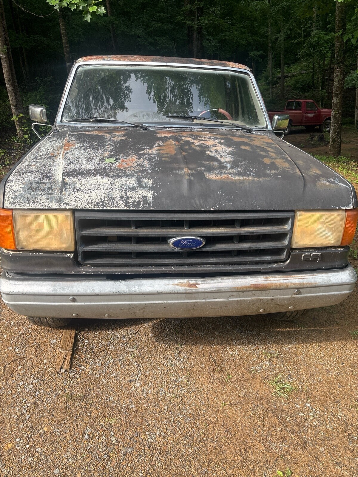 Ford F-250 1988