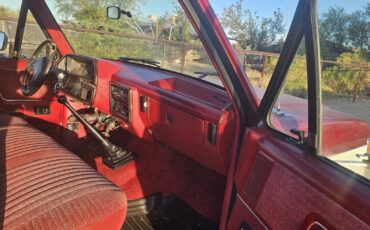 Ford-F-250-1989-4