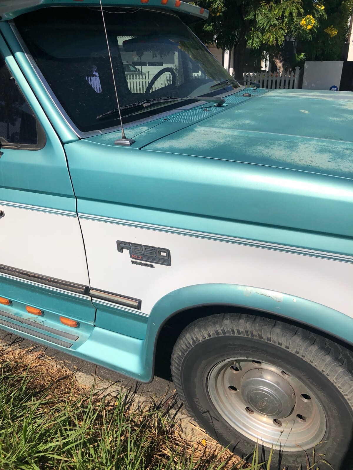 Ford-F-250-1994-1