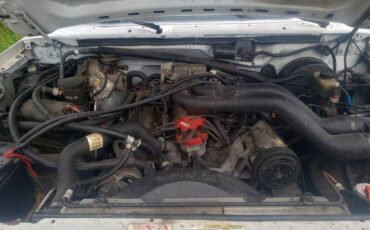 Ford-F-250-1994-3