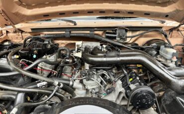 Ford-F-250-1994-custom-15