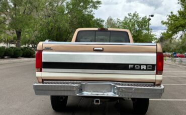 Ford-F-250-1994-custom-3