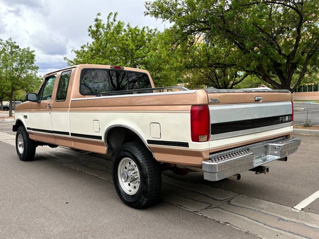 Ford-F-250-1994-custom-5