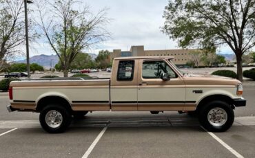 Ford-F-250-1994-custom-6