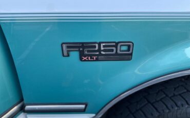 Ford-F-250-1995-8