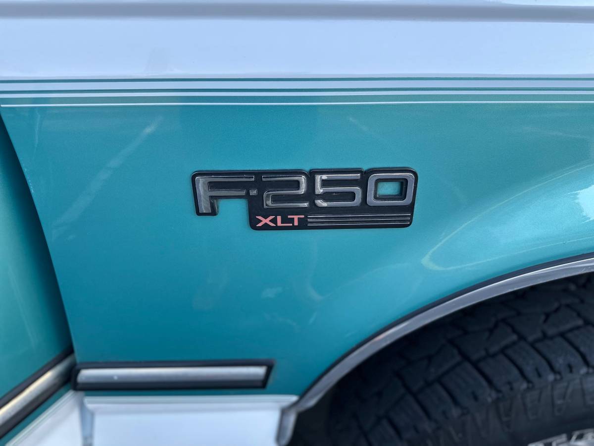 Ford-F-250-1995-8
