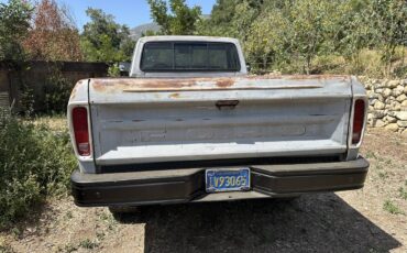 Ford-F-250-diesel-1979-grey-2