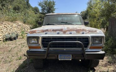Ford-F-250-diesel-1979-grey-3