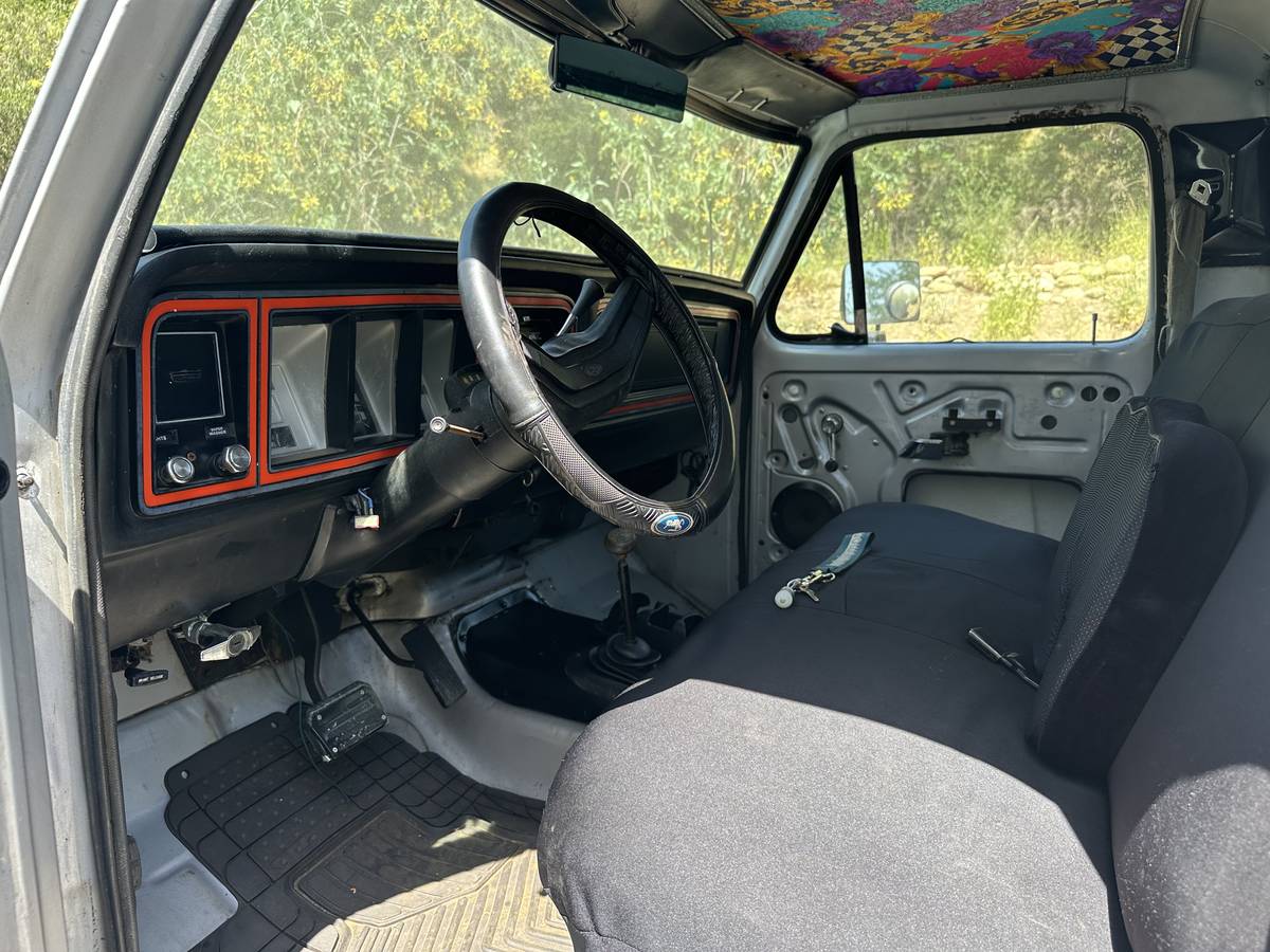 Ford-F-250-diesel-1979-grey-5