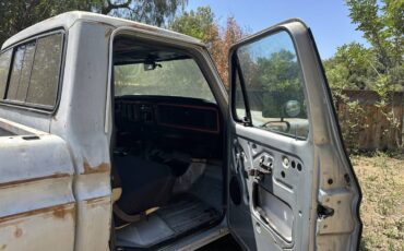 Ford-F-250-diesel-1979-grey-6