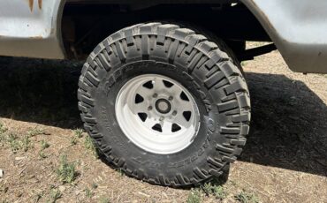 Ford-F-250-diesel-1979-grey-9