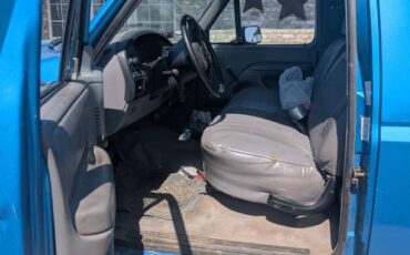 Ford-F-250-diesel-1995-blue-2