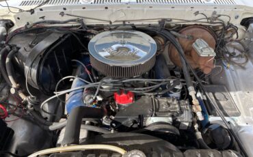 Ford-F-350-1979-8