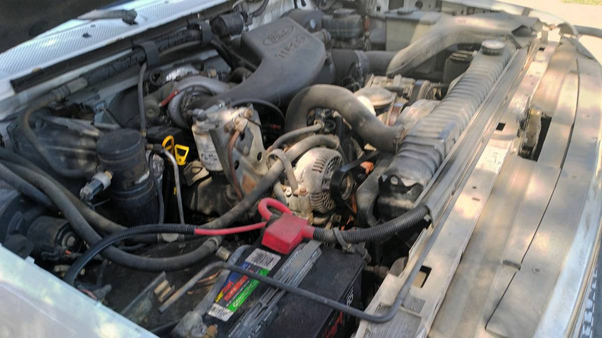 Ford-F-350-diesel-1994-white-15