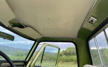 Ford-F100-1974-green-10