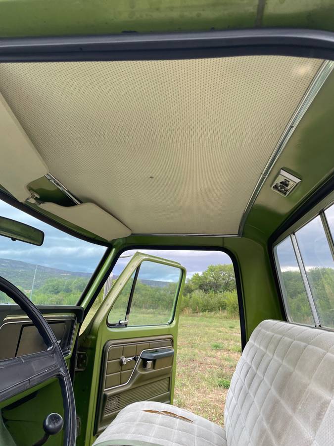 Ford-F100-1974-green-10