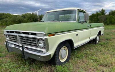 Ford F100  1974 green