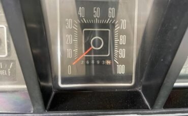 Ford-F100-1974-green-9