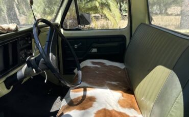 Ford-F100-custom-1975-yellow-14