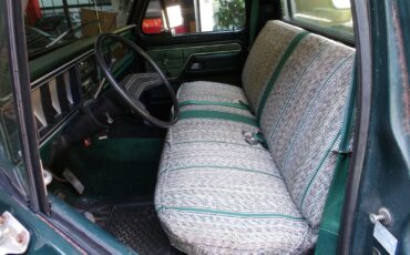 Ford-F150-1978-Pickup-Truck-3
