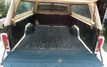Ford-F150-1978-Pickup-Truck-6