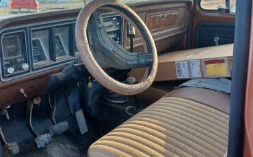 Ford-F150-1978-brown-3