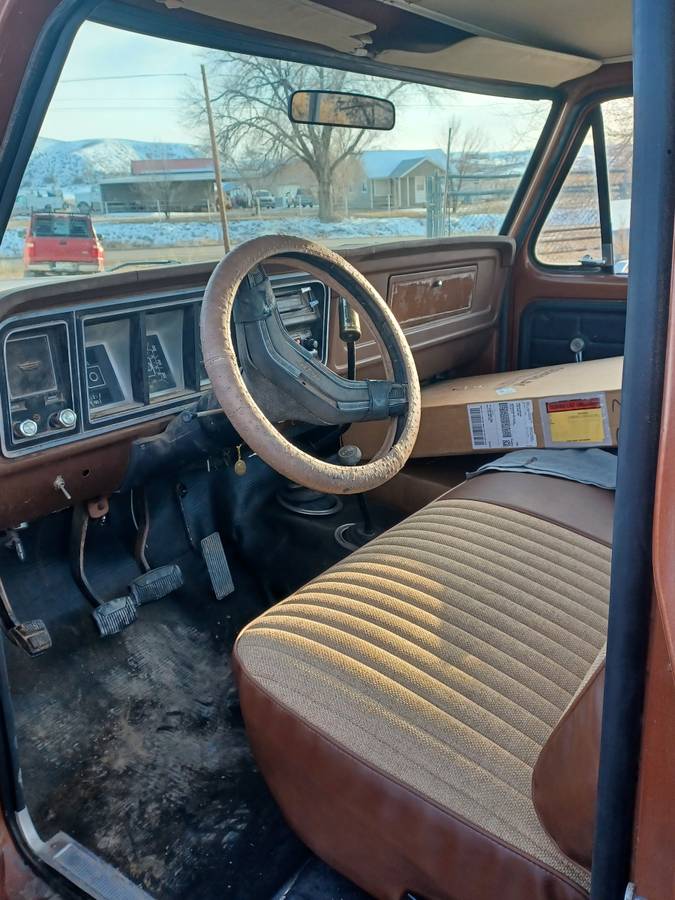Ford-F150-1978-brown-3