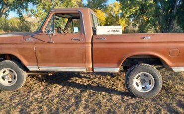 Ford-F150-1978-brown