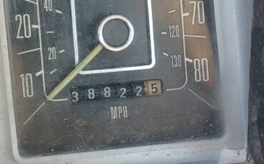 Ford-F150-1978-brown-4