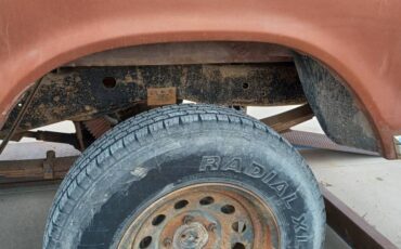Ford-F150-1978-brown-6