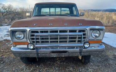 Ford-F150-1978-brown-8