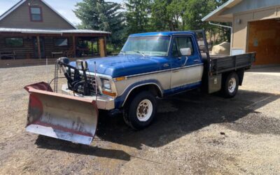 Ford F250 xlt ranger  1979 blue