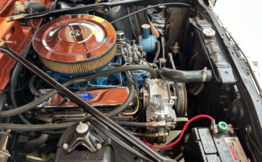 Ford-Fairlane-1966-Wagon-23