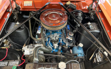 Ford-Fairlane-1966-Wagon-24