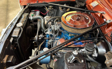 Ford-Fairlane-1966-Wagon-25