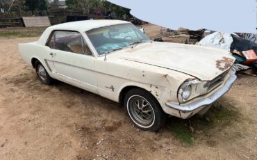 Ford-Mustang-1965-1