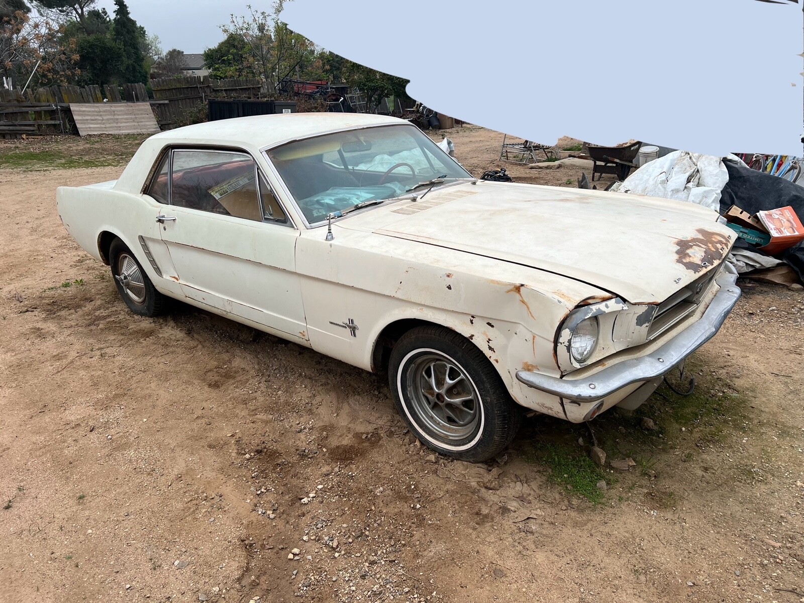 Ford-Mustang-1965-1