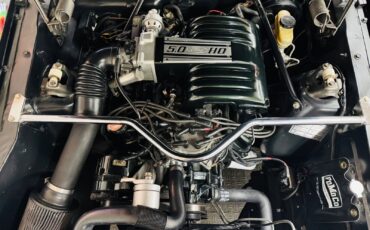 Ford-Mustang-1965-17