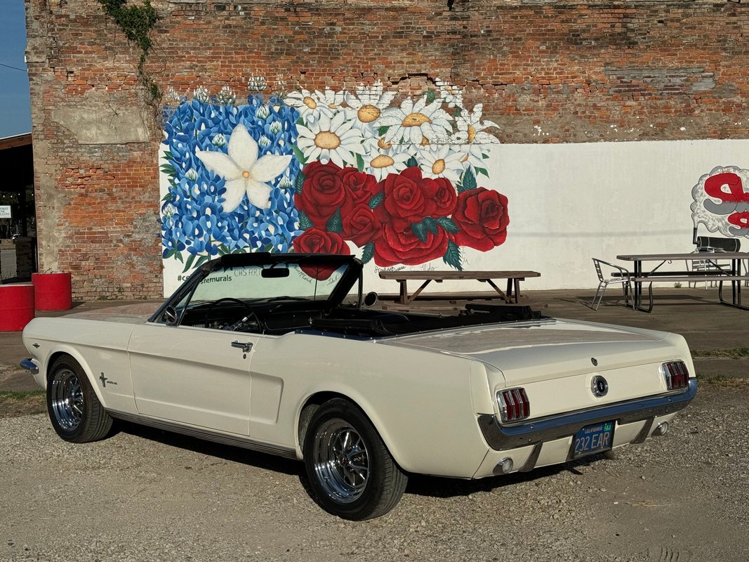 Ford-Mustang-1965-2