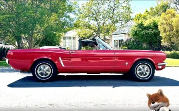 Ford-Mustang-1965-4