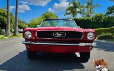 Ford-Mustang-1965-5