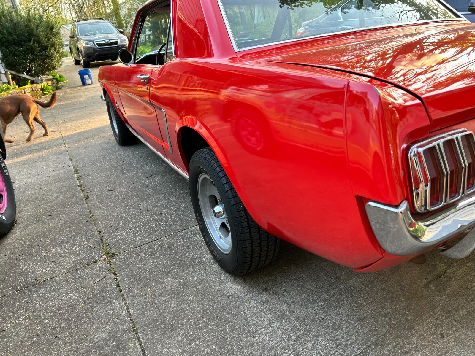 Ford-Mustang-1965-Coupe-4