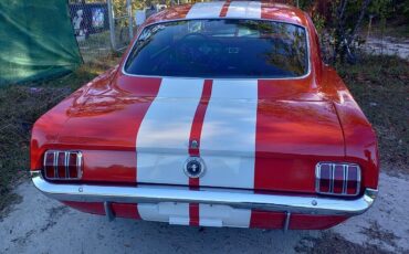 Ford-Mustang-1965-Fastback-12