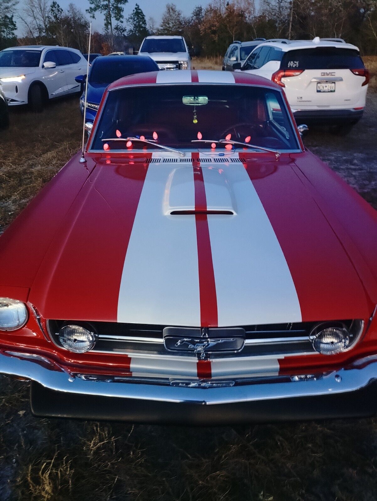 Ford-Mustang-1965-Fastback-14