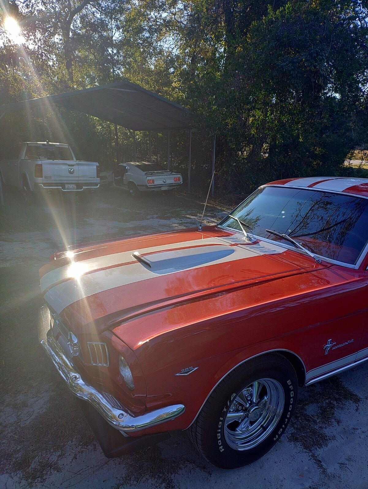 Ford-Mustang-1965-Fastback-7