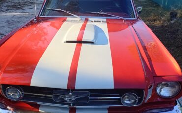 Ford-Mustang-1965-Fastback-8