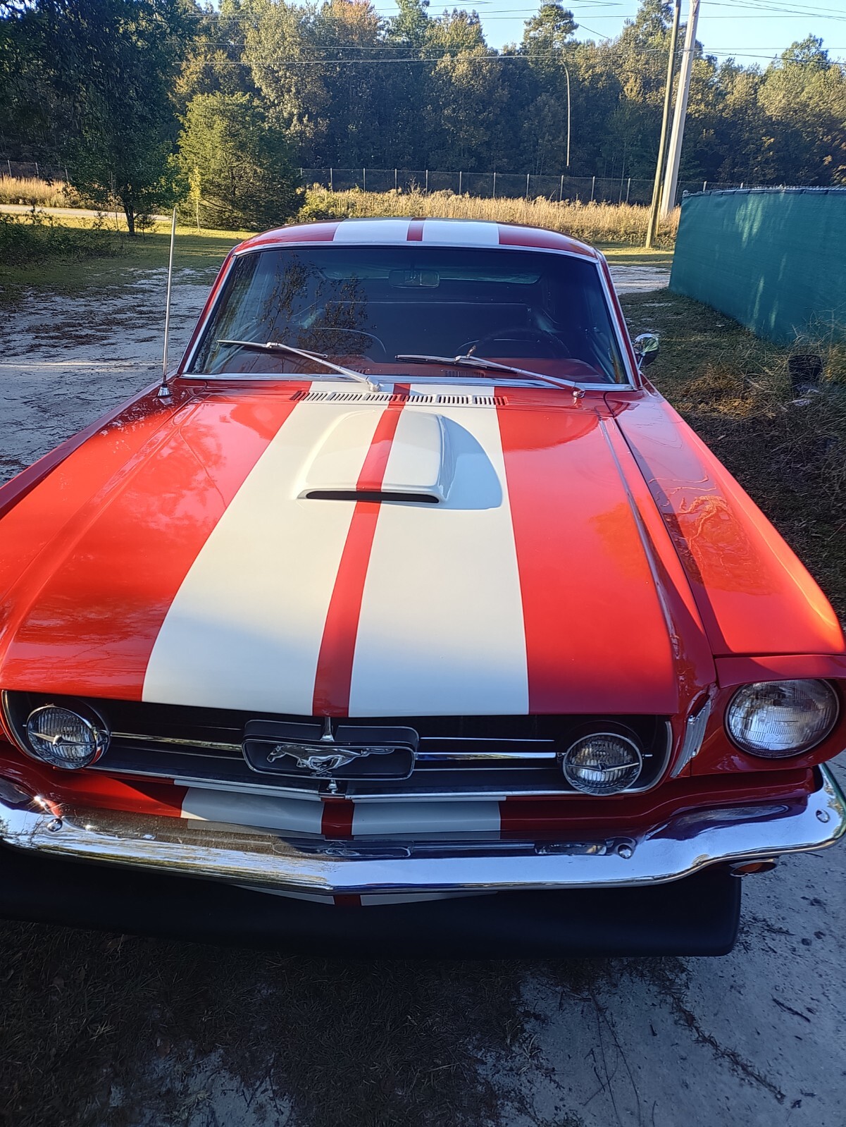Ford-Mustang-1965-Fastback-8