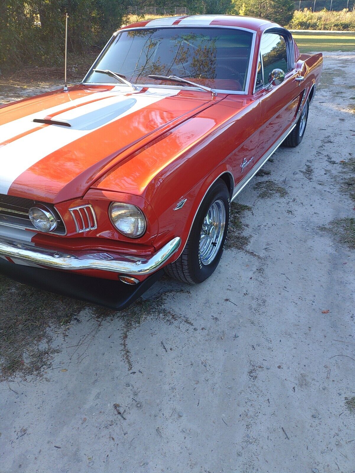 Ford-Mustang-1965-Fastback-9
