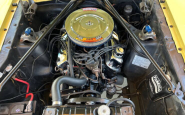 Ford-Mustang-1965-Hatchback-29